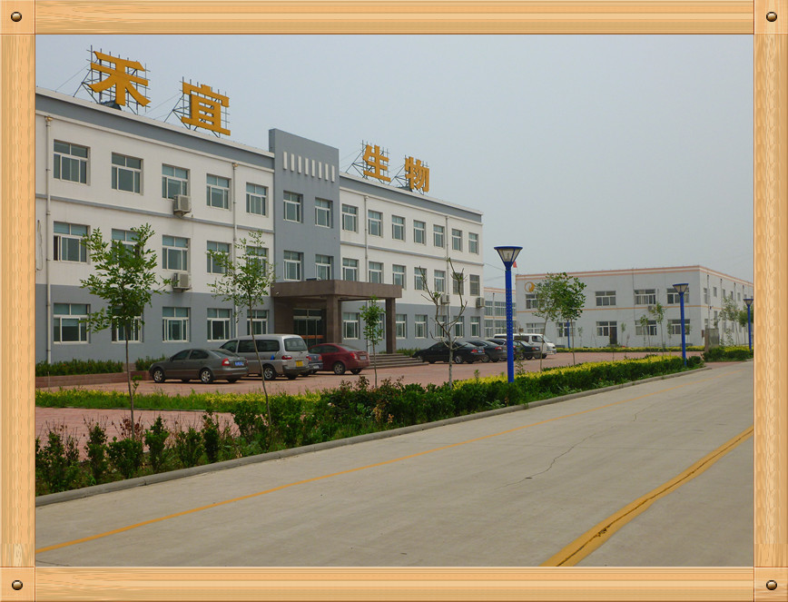 Chiny Weifang Heyi Agrochemical Co.,Ltd profil firmy